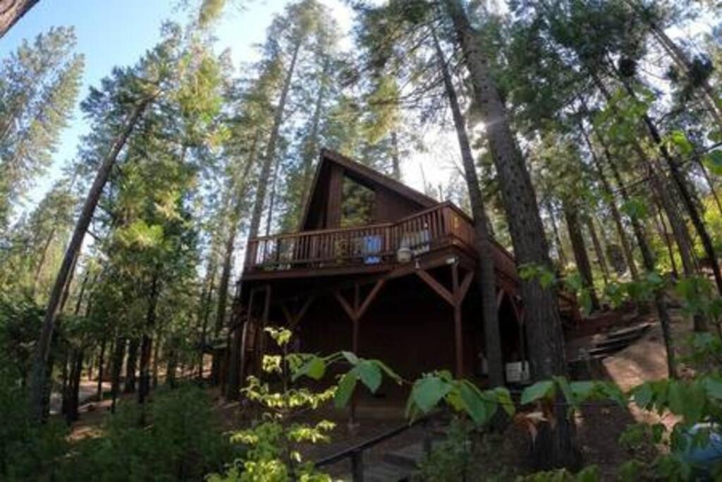 Villa Pinecrest A-Frame Family Fun Near Dodge Ridge Long Barn Exterior foto